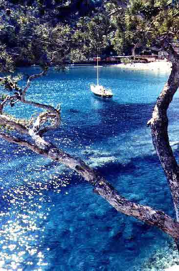[Portofino cove]